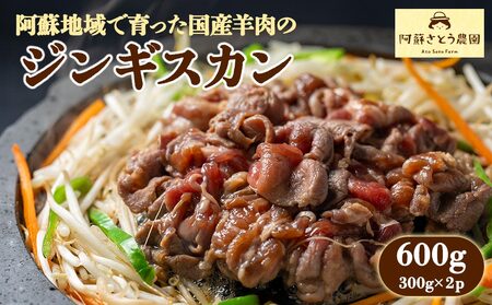 阿蘇地域で生産した貴重な国産羊肉のジンギスカン! 国産羊肉 ジンギスカン 熊本特産 晩白柚風味 レシピ 簡単調理 焼くだけ 本格 熊本グルメ ご当地グルメ 特製漬け込み お取り寄せグルメ BBQ食材 ご飯に合う ヘルシー肉 風味豊かな 阿蘇市