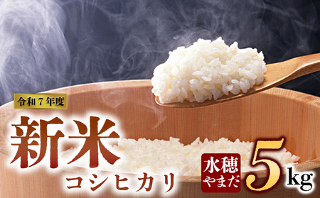 [予約]新米 令和7年産 コシヒカリ 5kg 水穂やまだ グランプリ獲得 お米 米 人気 美味しい 弾力 粘り 食感 湧水 熊本 阿蘇