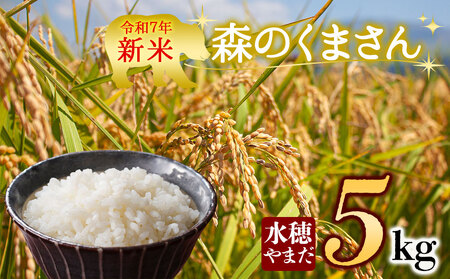 [予約]新米 令和7年産 森のくまさん 5kg 水穂やまだ グランプリ獲得 お米 米 人気 美味しい 弾力 粘り 食感 湧水 熊本 阿蘇
