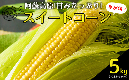 産地直送! みんな大好きスイートコーン5kg〜ふるさとセット〜