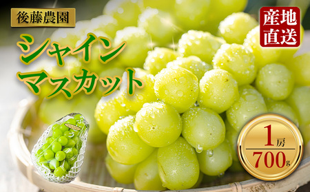 「後藤農園」 シャインマスカット 約700g 希少 ぶどう 新鮮 期間限定 皮ごと ブドウ お取り寄せ 熊本県 阿蘇市