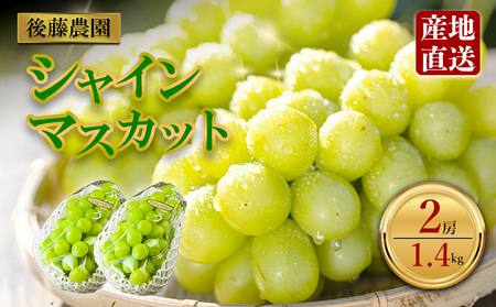 u㓡_v VC}XJbg 1.4kg  Ԃǂ VN Ԍ 炲 uhE  F{ hs