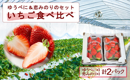 高藤農園 ゆうべに・恋みのり 各1パック 食べ比べセット