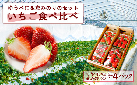 高藤農園 ゆうべに・恋みのり 各2パック 食べ比べセット いちご 熊本県 阿蘇市