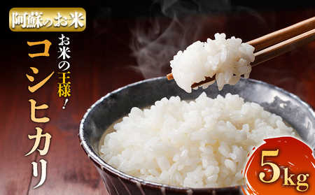 [選べる回数]R7年産コシヒカリ 5kg プロ厳選の産地直送米 白米 お米 人気 美味しい 白ご飯 こだわり 農業 甘味 香り ツヤ お米の王様 熊本県 阿蘇市