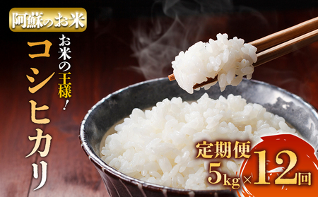 [選べる回数][定期便12回]R7年産コシヒカリ 5kg プロ厳選の産地直送米 白米 お米 人気 美味しい 白ご飯 こだわり 農業 甘味 香り ツヤ お米の王様 熊本県 阿蘇市