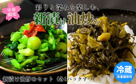 [早春限定]彩りと深みを楽しむ、高菜の新漬けと古漬け油炒め2種セット 阿蘇高菜 ご当地 郷土 お取り寄せ たかな 漬物 冷蔵 おつまみ ごはん おかず ピリ辛 期間限定 数量限定 贈り物 熊本県 阿蘇市