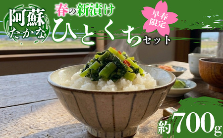 [早春限定]春の「ひとくち阿蘇」セット 高菜 たかな 新漬けたかな 3種セット 阿蘇高菜 食べ比べ 山一食品 菊池食品 江藤加工食品 青高菜 青たかな 漬物 加工食品 冷蔵 旬 春 春限定 熊本県 阿蘇市