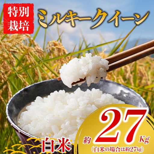 特別栽培米 ミルキークイーン 約27kg×1(白米)阿蘇アグロスタイル 精米 米 ごはん 人気 美味しい みるきーくいーん 甘味 もちもち なめらか 減農薬 湧水 熊本県 阿蘇市