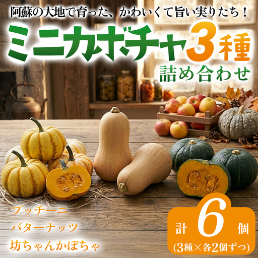 阿蘇産 ミニカボチャ詰め合わせ3種セット (バターナッツ プッチーニ 坊ちゃん) 3種×2個ずつ 計6個セットおすそわけ農園 人気 美味しい 野菜 やさい 熊本県 阿蘇市