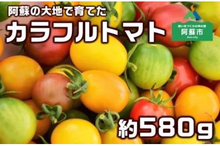 阿蘇】まるで宝石、カラフルミニトマト 約580gのレビュー | ふるさと