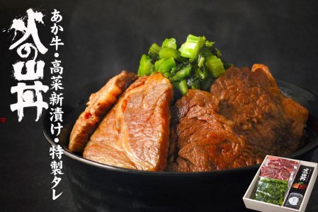 あか牛 火の山丼(ふるさとセット)牛肉・特製タレ・高菜