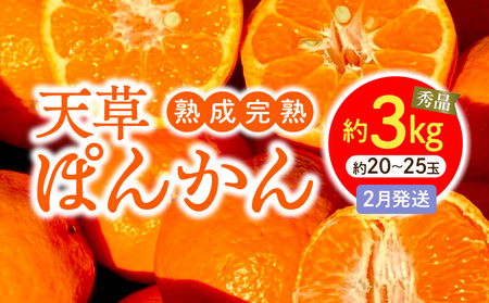 S117-004_HInnVۂ񂩂 2 3kgGiqstr