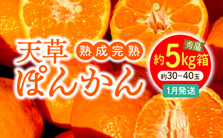 S117-005_HInnVۂ񂩂 1 5kg Giqstr
