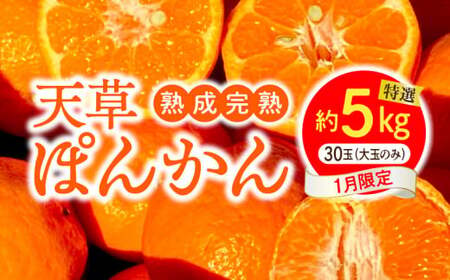 S117-007_香りを食す!熟成完熟天草ぽんかん 1月限定 特選約5kg(30玉)[先行受付]