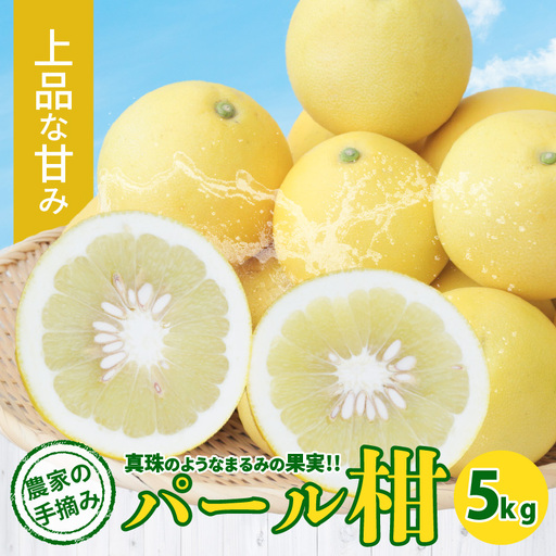 S040-031_農家の手摘み パール柑 5kg