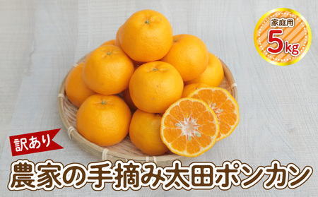 S040-027_y󂠂z_Ƃ̎E c |J ƒp5kg