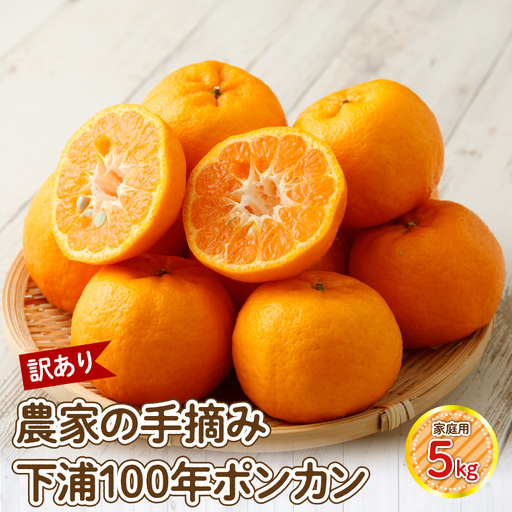 S040-029_[訳あり]農家の手摘み 下浦100年ポンカン 家庭用 5kg
