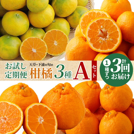 S040-T08_【お試し定期便】天草・下浦の旬の柑橘3種Aセット