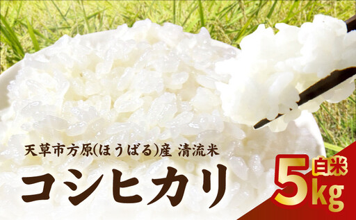 S150-003_天草市方原産　白米（コシヒカリ）5キロ
