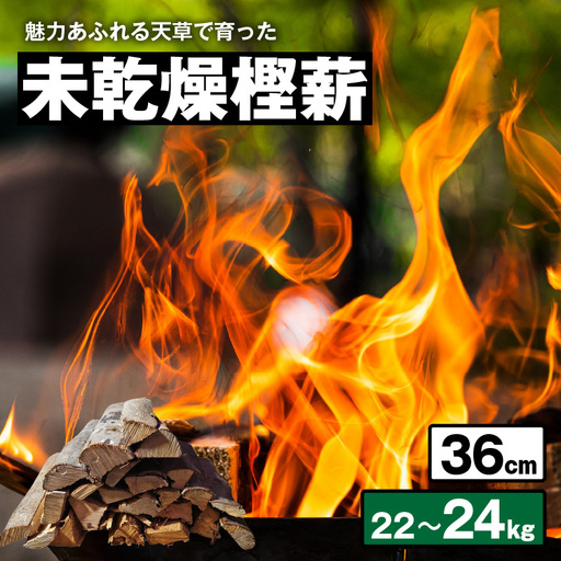 S163-008_魅力あふれる天草で育った未乾燥樫薪（天樫　長さ36cm　22～24kg）
