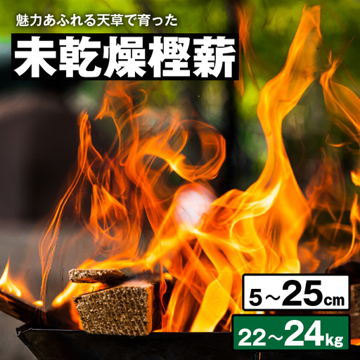 S163-009_魅力あふれる天草で育った未乾燥樫薪（天樫　5cm～25cmコロ薪　22～24kg）