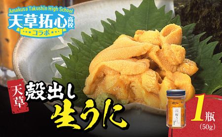 S168-009_天草殻出し生うに５０ｇ