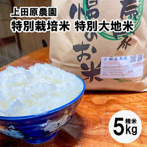 S051-004_[令和7年産]特別栽培米 特別大地米 精米 5kg