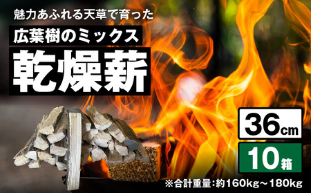 S163-013_魅力あふれる天草で育った広葉樹のミックス乾燥薪(36㎝)