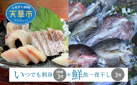 鮮魚 天草の返礼品 検索結果 | ふるさと納税サイト「ふるなび」