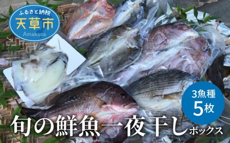 S059-007_旬の鮮魚一夜干しボックス 3種5枚セット 干物