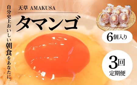 S038-T03_[定期便3回]天草 タマンゴ 6個 卵