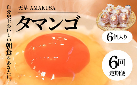 S038-T06_�y�����6��z�V�� �^�}���S 6�� ��