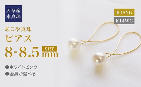 S101-432_^ sAX tbN NX 8mm - 8.5mm zCgsN