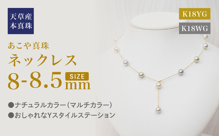 S101-462_^ V lbNX Xe[V }` Y 2WAY F 8mm - 8.5mm K18