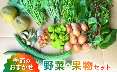 S096-004_季節のおまかせ野菜と果物セット