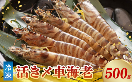 S065-006_活き〆冷凍車海老 500g