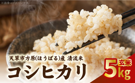 S150-005_天草方原産 清流米 コシヒカリ 玄米5キロ