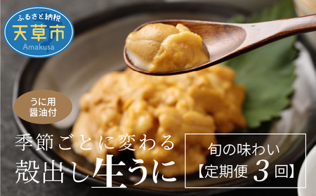 S002-007_[定期便3回]季節ごとに変わる 殻出し生うに 50g×2本 うに用醤油付 /うに ウニ 生ウニ 生うに 雲丹