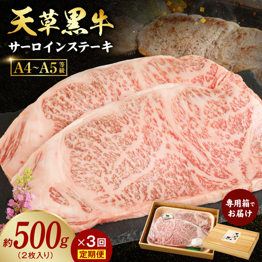 S074-013-T03_[定期便3回]天草黒牛 サーロイン ステーキ 2枚入 約500g 黒毛和牛 A4〜5等級