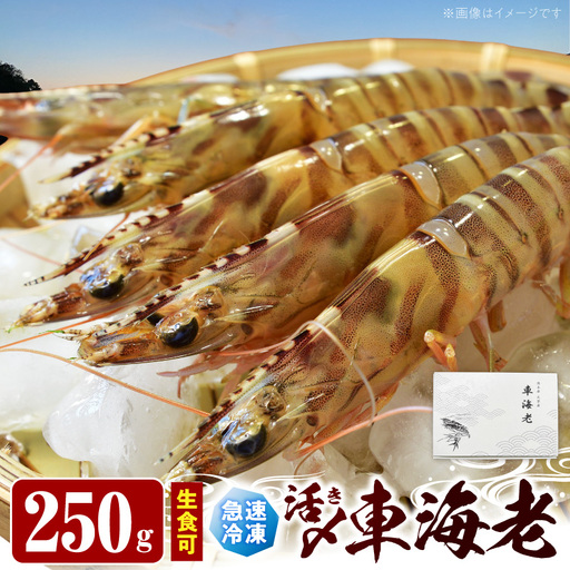S187-001_生食可 活き〆急速冷凍車海老250g