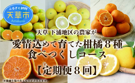 S040-019A_[定期便8回]天草 下浦地区の農家が愛情込めて育てた柑橘8種食べ尽しコース[先行予約]