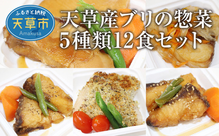 S010-064_ブリの惣菜5種類12食セット