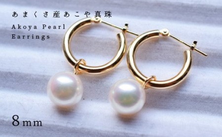 天草市 真珠 検索結果 | ふるさと納税サイト「ふるなび」
