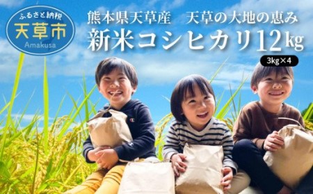 S108-004A_〈令和7年産〉熊本県天草産　天草の大地の恵み　新米コシヒカリ12㎏【先行予約】