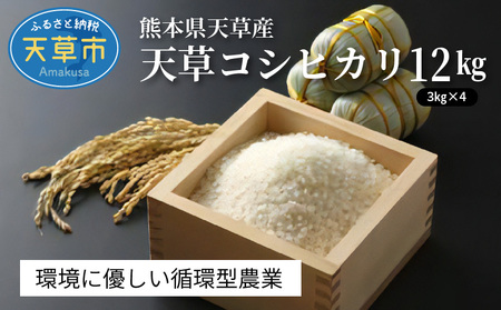 S109-004A_〈令和8年産〉熊本県天草産 天草コシヒカリ12kg（3kg×4） 【先行予約】 新米 令和8年産 コシヒカリ 12kg 精米 3kg × 4袋 単一原料米 国産 米 お米 白米 甘み 香り ツヤ 粘り バランス 美味しい ごはん おにぎり 弁当 おむすび 土作り こだわり 小分け 冷蔵庫 保管可能 お取り寄せ 食品 九州 熊本県 天草市 送料無料