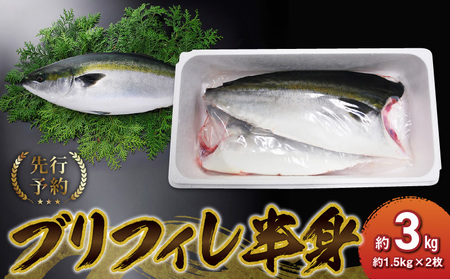 S042-001A_ブリフィレ 半身 約3kg(約1.5kg×2枚)ぶり 鰤[先行予約]