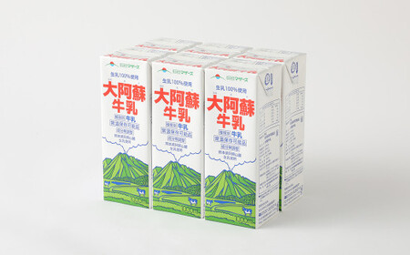 [3ヶ月定期便] 生乳 100% 大阿蘇牛乳 ロングライフ 牛乳 1000ml×6本入り 合計6L