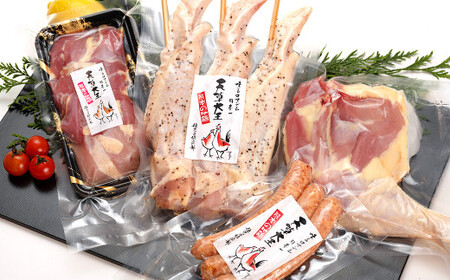 天草大王[アウトドアセット]幻の鶏 キャンプ BBQ 骨付き もも肉 500g!! 大手羽先 ソーセージ ブツ切りミックス