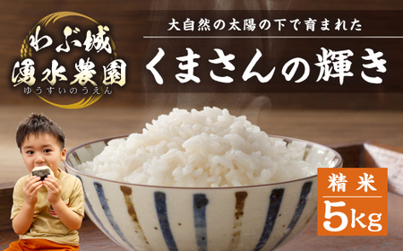 [令和5年産]わぶ城湧水農園 精米 5kg くまさんの輝き お米 熊本県